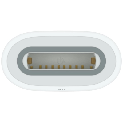 Apple USB-C to  Pencil Adapter