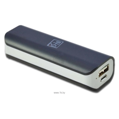 2GO Travel 2200mAh