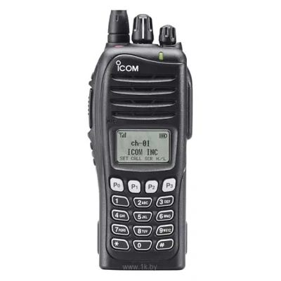 Icom ICOM IC-F3161DT