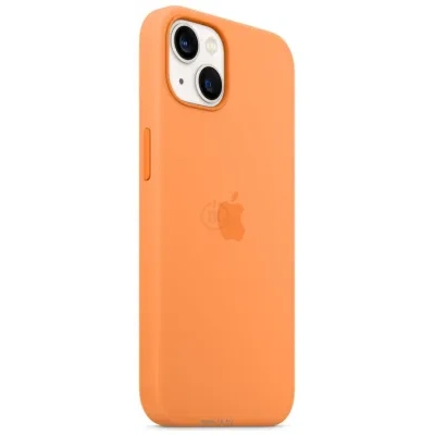 Apple MagSafe Silicone Case dlya iPhone 13 (vesennyaya mimoza)