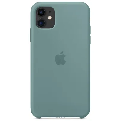 Apple Silicone Case dlya iPhone 11 (dikiy kaktus)