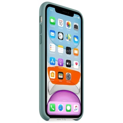 Apple Silicone Case dlya iPhone 11 (dikiy kaktus)