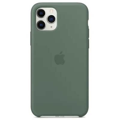 Apple Silicone Case dlya iPhone 11 Pro (sosnovyiy les)