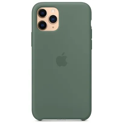 Apple Silicone Case dlya iPhone 11 Pro (sosnovyiy les)