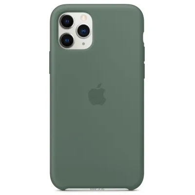 Apple Silicone Case dlya iPhone 11 Pro Max (sosnovyiy les)