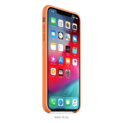 Apple Silicone Case dlya iPhone XS (svejaya papayya)